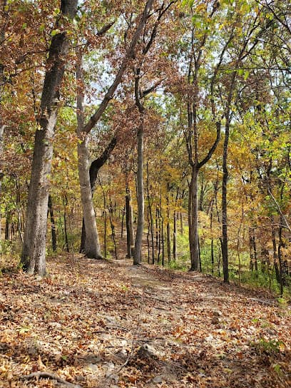 Klamberg Woods Conservation Area