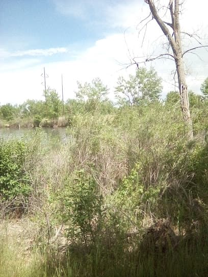 South Suburban Parks & Recreation