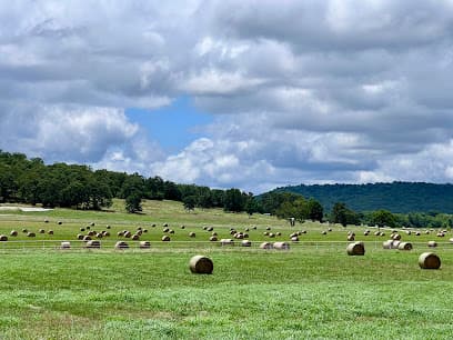 Stonebridge Meadows Golf Club