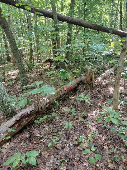 Nelsons acres