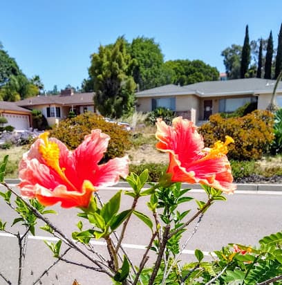 Del Cerro Park