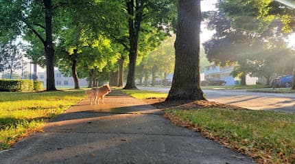 Eisenhower Park