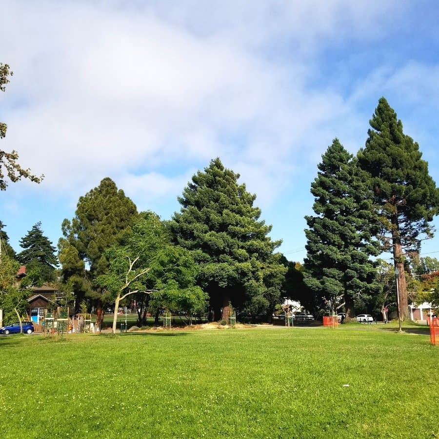 Ohlone Middlefield Park