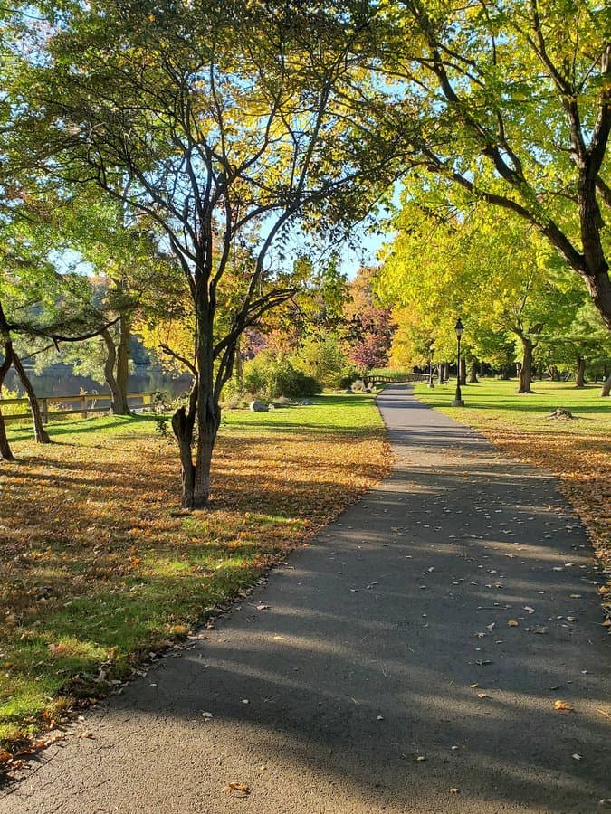 Colonial Lake Park (Tennis Court)